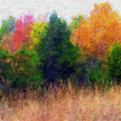 Tere pyar main - Kaavish (cover)