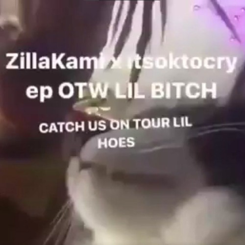 ZillaKami x ITSOKTOCRY - DONT KNOW (Open Verse)