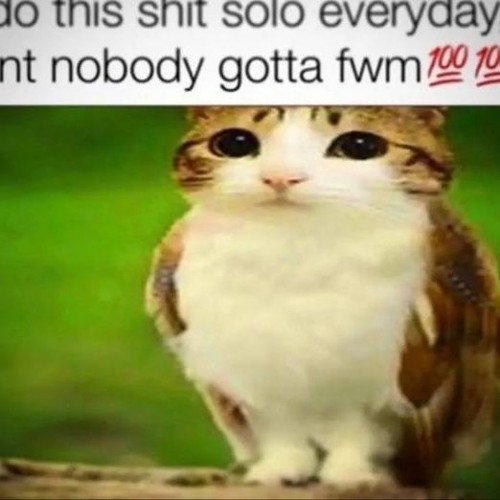 Flawed Mangoes - Killswitch riff 15 - missing pieces