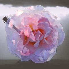 Cherish The Roses [Sade x Astrud Gilberto]