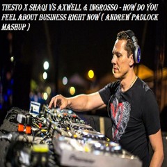 Tiesto X SHAQI Vs A&I - How Do You Feel About Business Right Now (Mashup) - VALLENTINE´S GIFT