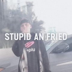 stupid an fried