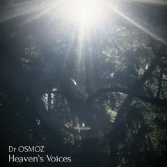Heaven's Voices