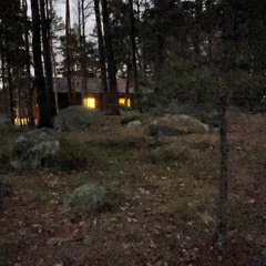 något ska man göra med stenar