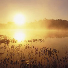 A Trip Down Memory Lane