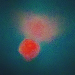 (Demo)个体的神或宇宙 The Personal God or Universe