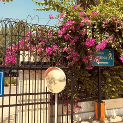 arman by qashqarian band