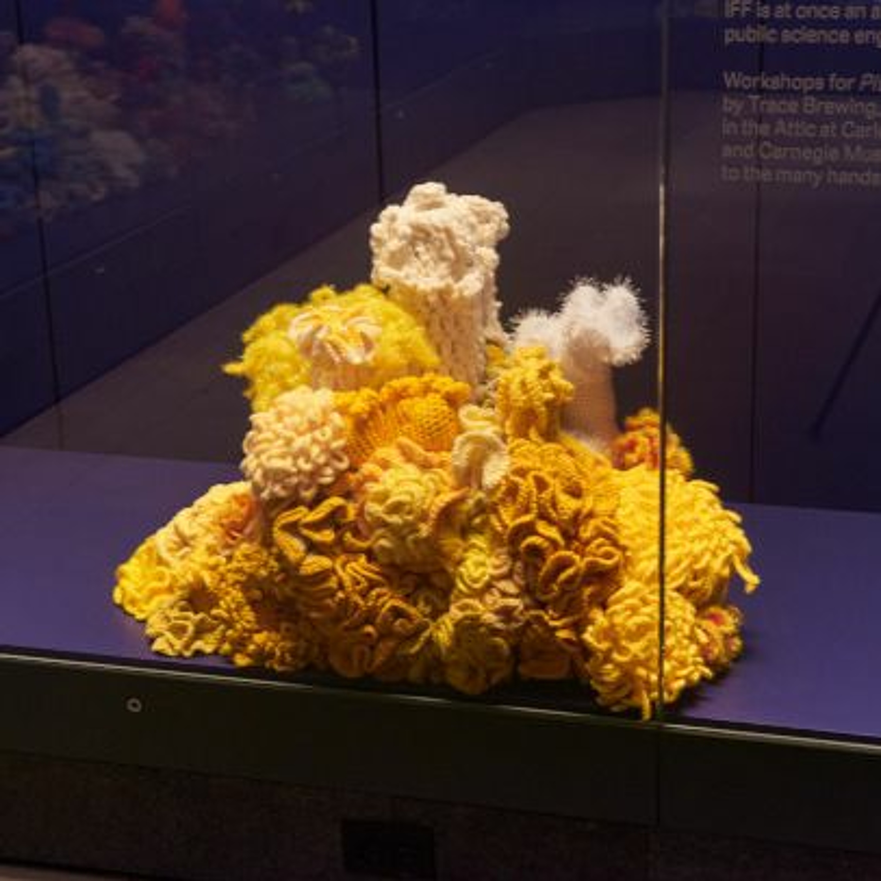 250 Billion in Costs from Plastics, Exxon Sues Climate Investors, The Crochet Coral Reef & more episode artwork