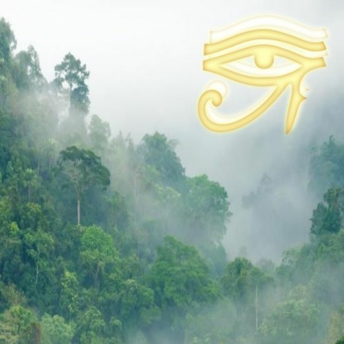 Stream prod. ilent Hill Listen to oul Trap playlist online for