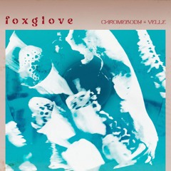 Foxglove w. Chromebody