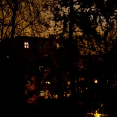 Nimeni Altu' - Ce s-a întâmplat