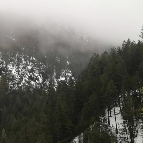 Field Recordings - Banff Trip