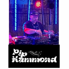 Pip Hammond 2023 Gathering fest VIP area