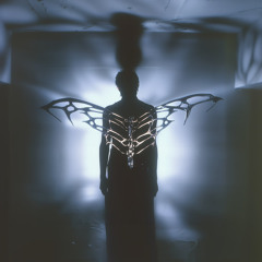 Wings (Silk Touch Remix)