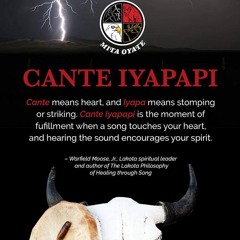 sundance songs☀️💙