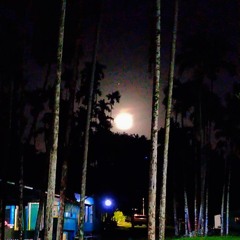 TKUD MA BECHIL-ASHT.wav