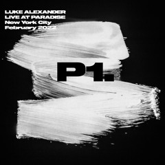 Luke Alexander Live At Paradise NYC 2 26 2022