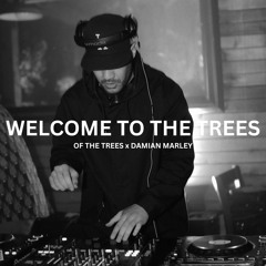 Welcome To The Trees