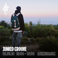 Junked Groove w/ Junky Palms - Aaja Channel 2 - 28 05 24