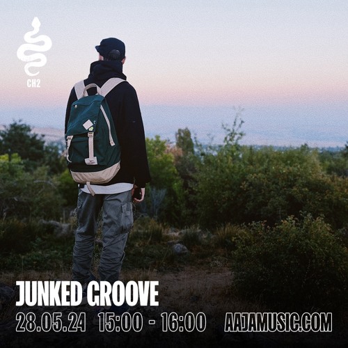 Junked Groove w/ Junky Palms - Aaja Channel 2 - 28 05 24