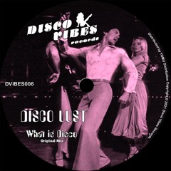 PREMIERE: Disco Lust - What Is Disco  [Disco Vibes Records]