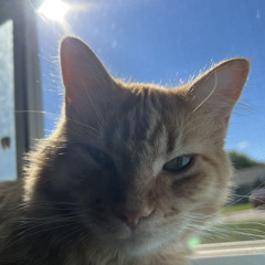 P4rkr I don’t want that many friends but it faster or sumthin