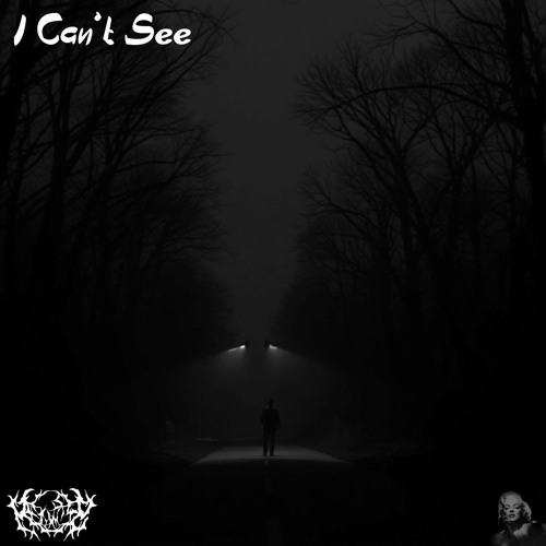 Heshamstep - I Can't See