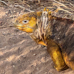 A Frank Exchange of Views