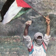 No License/#FREEGAZA (prod. Sam Rubin)