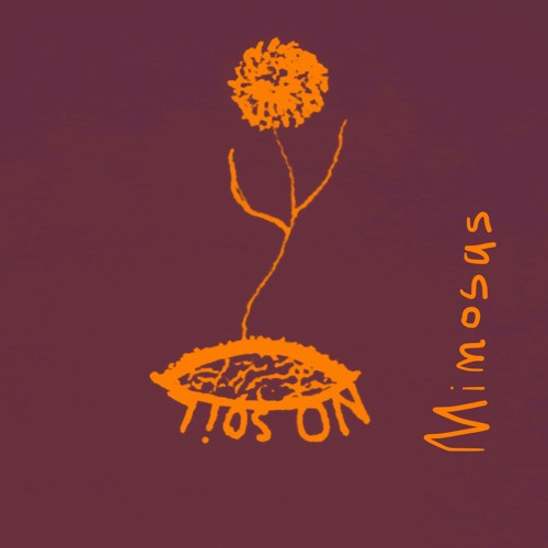 Mimosas