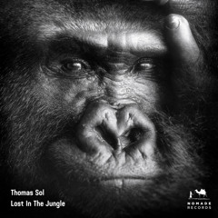 Lost In The Jungle (Edit)