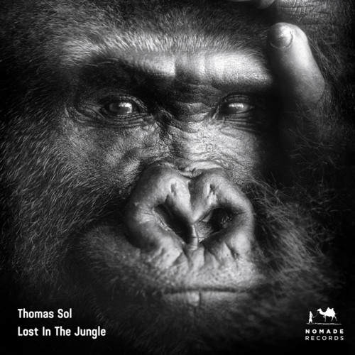 Lost In The Jungle (Edit)