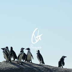 Penguins (Free Download)
