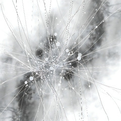 Invisible Threads