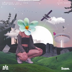 De Hofnar, MKJ & YOTO - Echo (with AVY X) - Chaël Remix