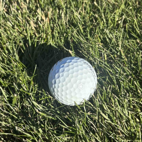 In the Blink of an Eye