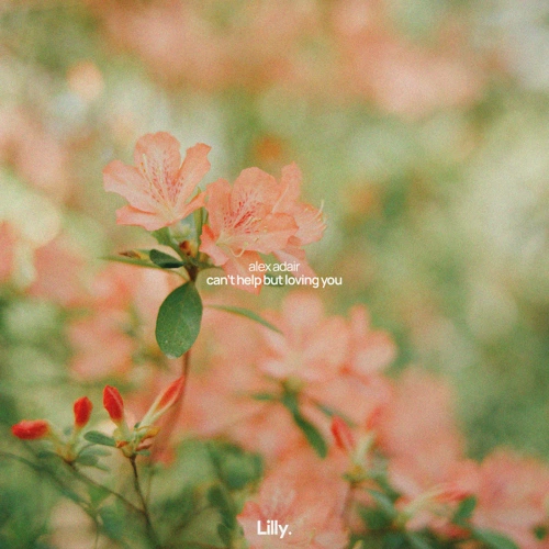 Artwork for the song Alex Adair - Can't Help But Loving You (Chill Mix)  by Lilly Era on Next Sound
