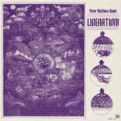 Peter Matthew Bauer – Liberation!