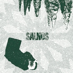 ŠALNOS - Šalnos