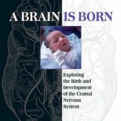 View EPUB KINDLE PDF EBOOK A Brain Is Born: Exploring the Birth and Development of th