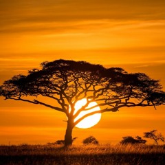 Spanish/Latin Guitar Trap Beat 2020 - "Apache"