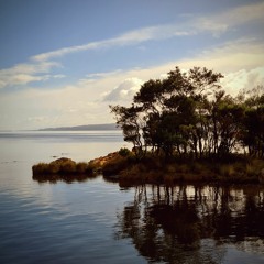 Jungle Rollers 003 [LIVE DJ SET]