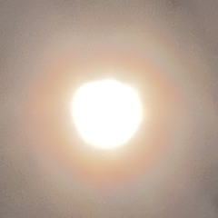 SUNNY REMIX 2