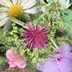 Flower thing.wav