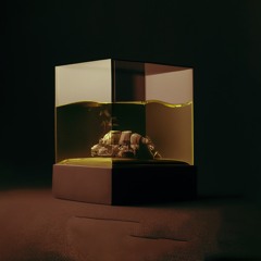 Jan23 04 CAPTURED SPECIES TIME WAITING SLOW SAD DEFEAT Ambient [60 BPM]