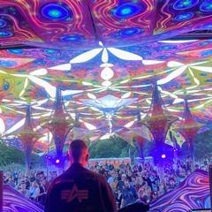 Zurück zu den Wurzeln Festival 2025 | Friday Sundown Goa-Set <3