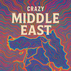 Crazy middle east