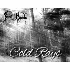 Feast Of The Bards - Cold Rays