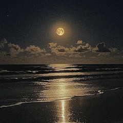 Under The Moonlight