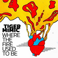 Where The Fire Used To Be